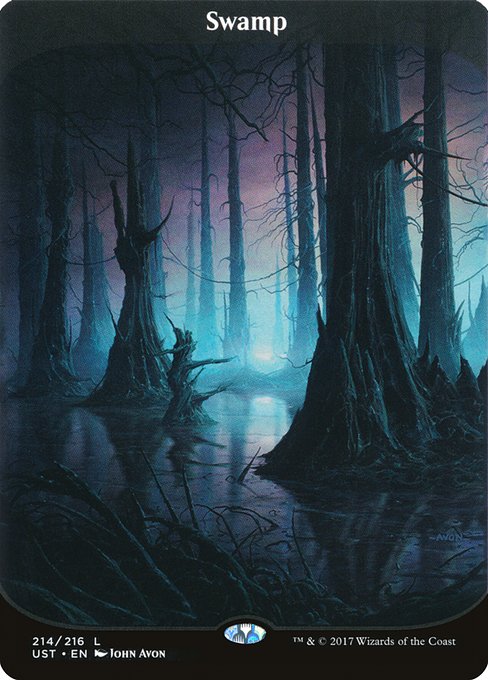 Swamp (214) - BORDERLESS - FULL ART - NM