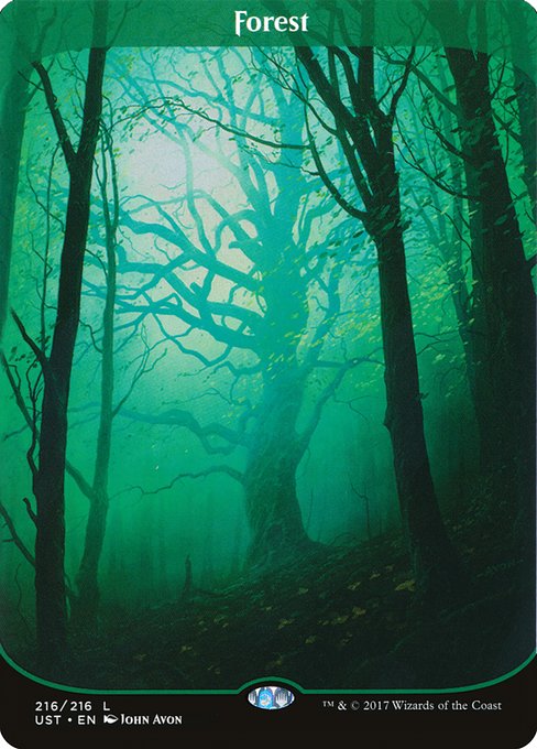 Forest (216) - BORDERLESS - FULL ART - NM